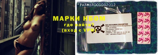 амф Заволжье