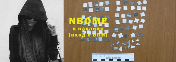 индика Заволжск