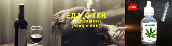 индика Заволжск