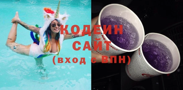 индика Заволжск