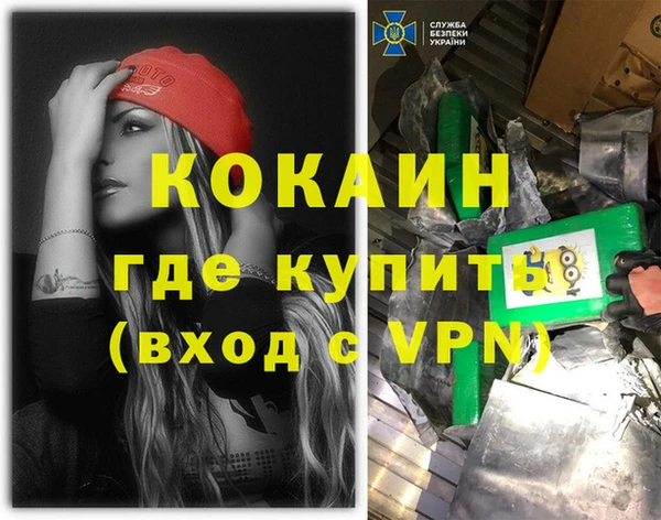 индика Заволжск