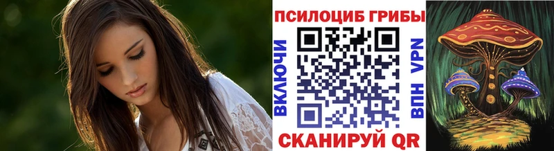 Галлюциногенные грибы мухоморы  Кызыл 