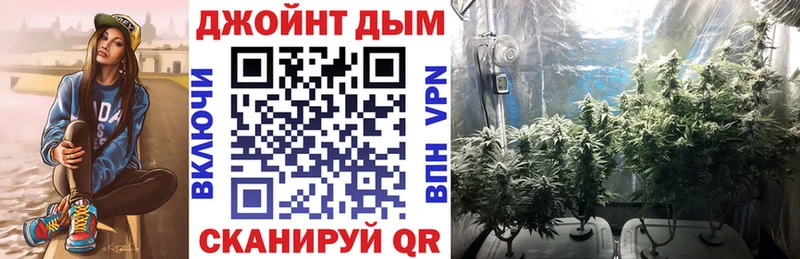 Канабис гибрид  Кызыл 